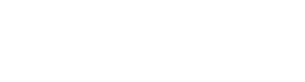 VZURE logo